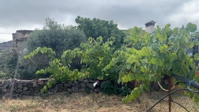 6 slaapkamer Huis te koop in Valencia de Alcantara met garage - € 120.000 (Ref: 9201893)