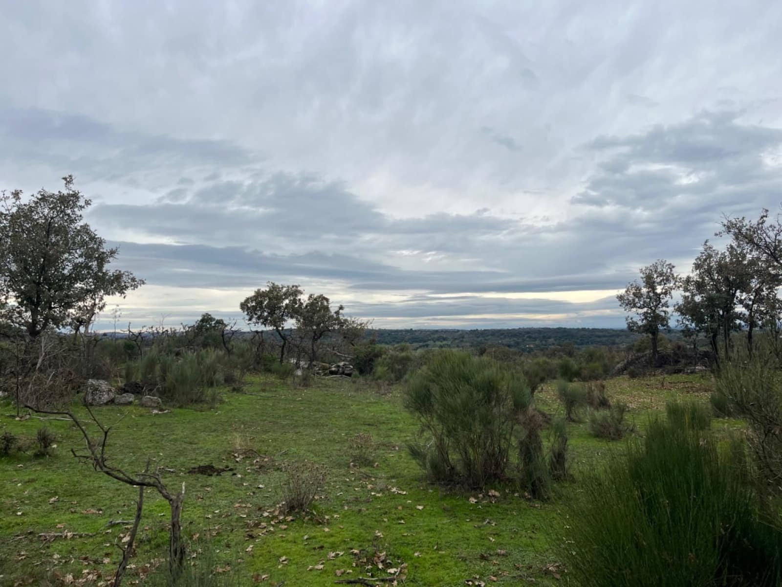 Mark till salu i Valencia de Alcantara - 38 000 € (Ref: 9201895)