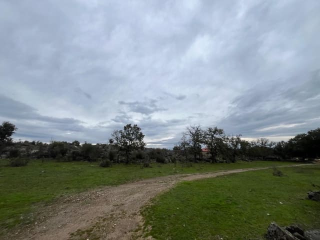 Undeveloped Land for sale in Valencia de Alcántara - € 38,000 (Ref: 9201895)