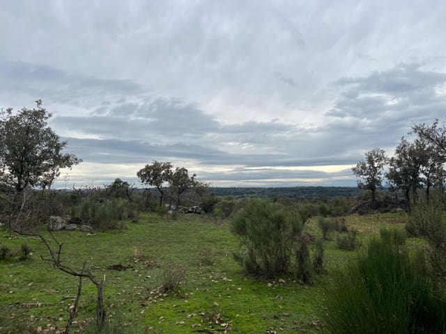 Undeveloped Land for sale in Valencia de Alcántara - € 38,000 (Ref: 9201895)