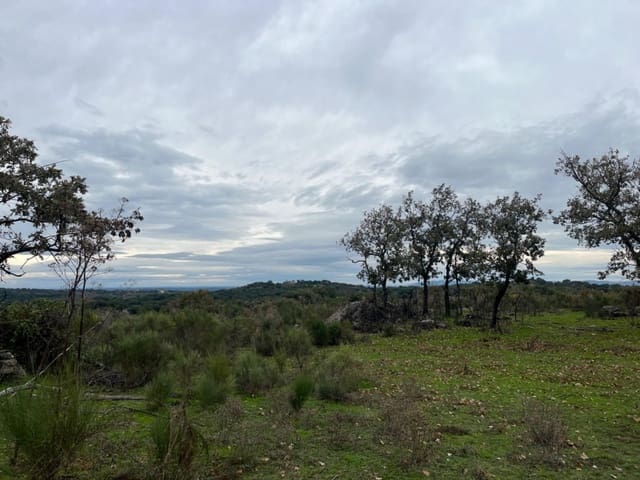 Undeveloped Land for sale in Valencia de Alcántara - € 38,000 (Ref: 9201895)