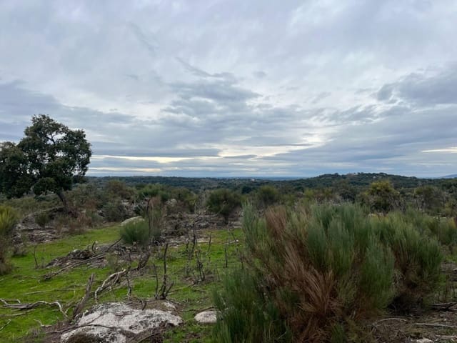 Undeveloped Land for sale in Valencia de Alcántara - € 38,000 (Ref: 9201895)