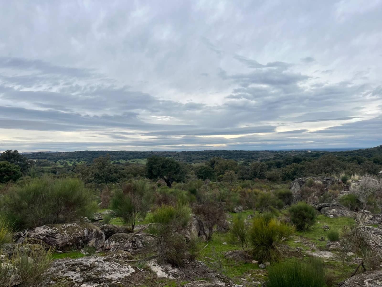 Mark till salu i Valencia de Alcantara - 38 000 € (Ref: 9201895)