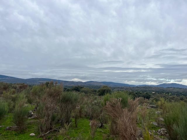 Undeveloped Land for sale in Valencia de Alcántara - € 38,000 (Ref: 9201895)