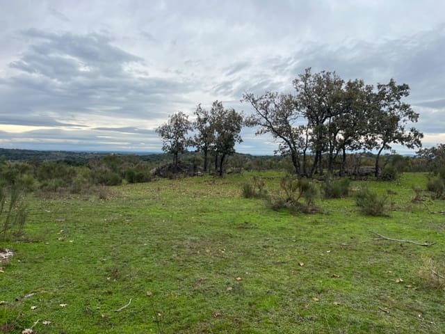 Undeveloped Land for sale in Valencia de Alcántara - € 38,000 (Ref: 9201895)