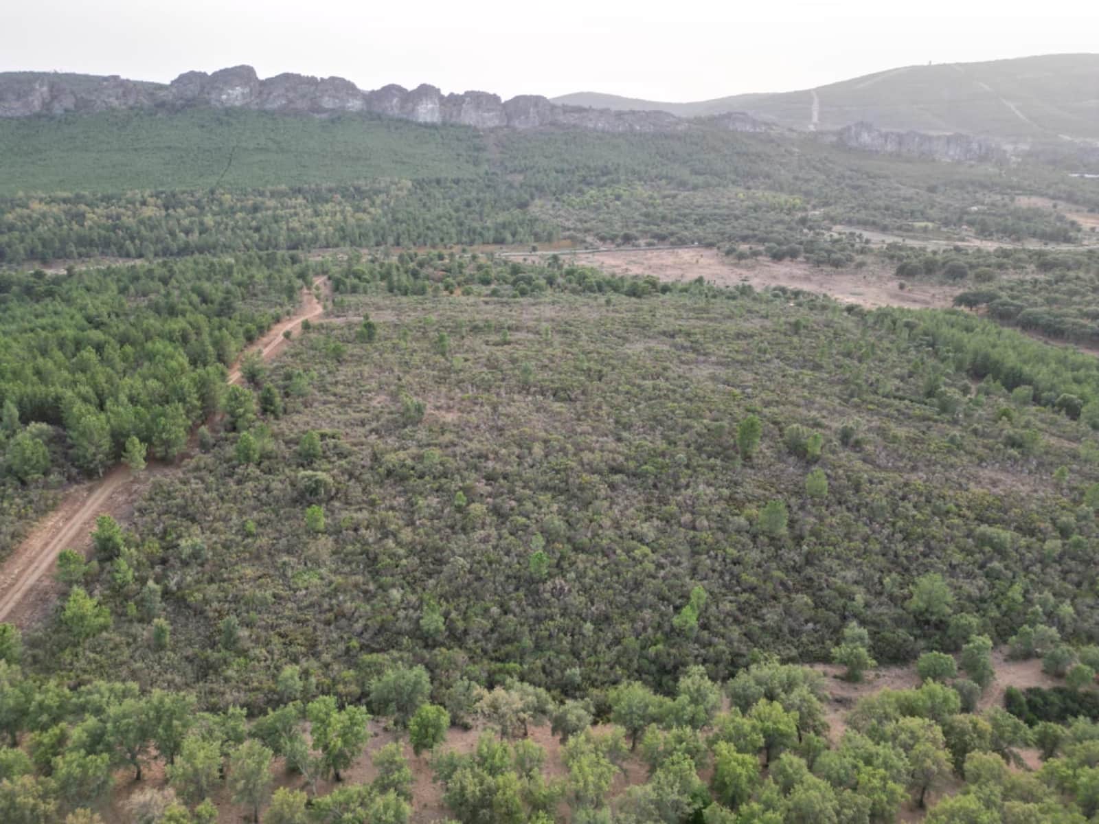 Ubebygd land til salgs i Valencia de Alcantara - € 65 000 (Ref: 9201896)