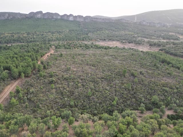 Undeveloped Land for sale in Valencia de Alcántara - € 65,000 (Ref: 9201896)