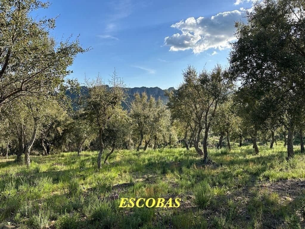 Ubebygd land til salgs i Valencia de Alcantara - € 65 000 (Ref: 9201896)