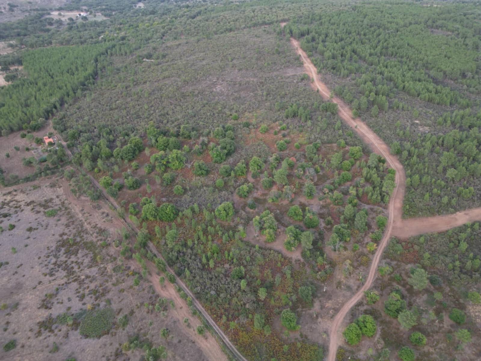 Ubebygd land til salgs i Valencia de Alcantara - € 65 000 (Ref: 9201896)