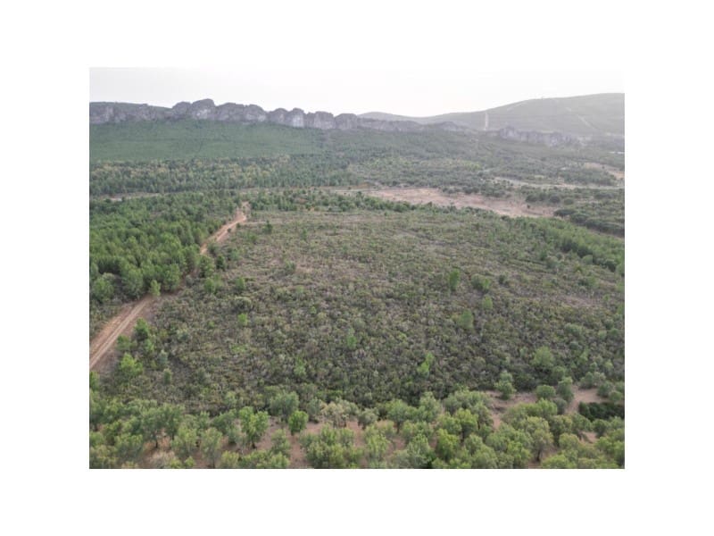 Finka/Dom wiejski na sprzedaż w Valencia de Alcantara - 65 000 € (Ref: 9201896)