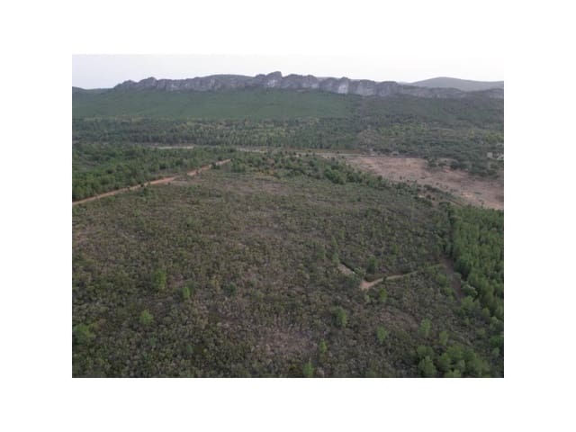 Terreno/Finca Rústica en Valencia de Alcántara en venta - 65.000 € (Ref: 9201896)