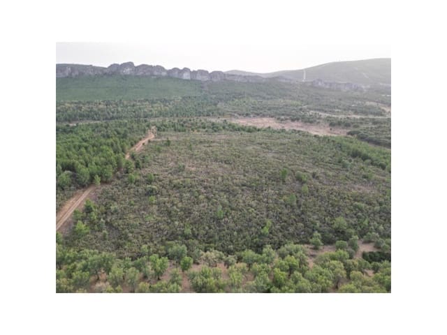 Terreno/Finca Rústica en Valencia de Alcántara en venta - 65.000 € (Ref: 9201896)