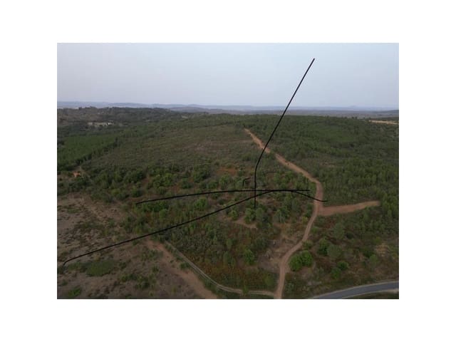 Terreno/Finca Rústica en Valencia de Alcántara en venta - 65.000 € (Ref: 9201896)