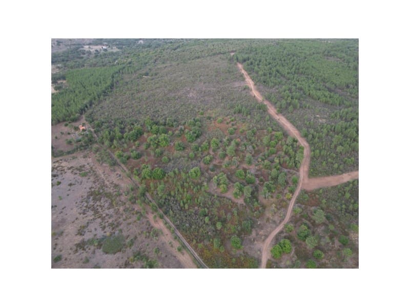 Finka/Dom wiejski na sprzedaż w Valencia de Alcantara - 65 000 € (Ref: 9201896)