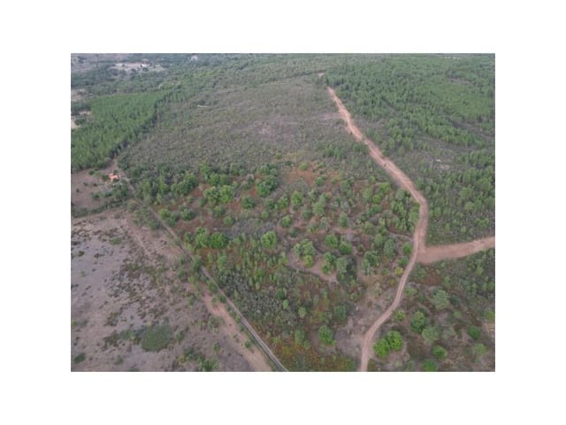 Terreno/Finca Rústica en Valencia de Alcántara en venta - 65.000 € (Ref: 9201896)