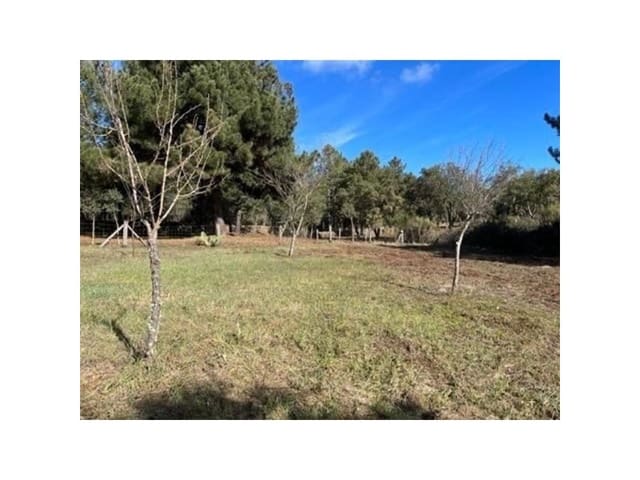 Terreno/Finca Rústica en Valencia de Alcántara en venta - 65.000 € (Ref: 9201896)