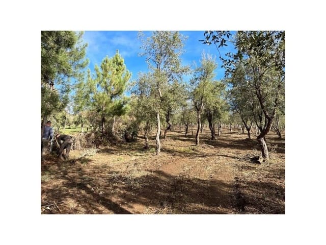 Terreno/Finca Rústica en Valencia de Alcántara en venta - 65.000 € (Ref: 9201896)