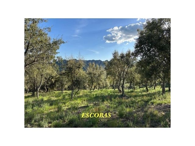 Terreno/Finca Rústica en Valencia de Alcántara en venta - 65.000 € (Ref: 9201896)