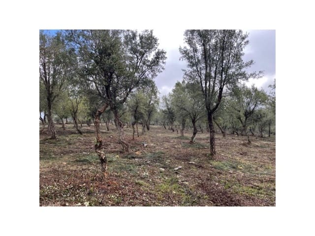 Terreno/Finca Rústica en Valencia de Alcántara en venta - 65.000 € (Ref: 9201896)