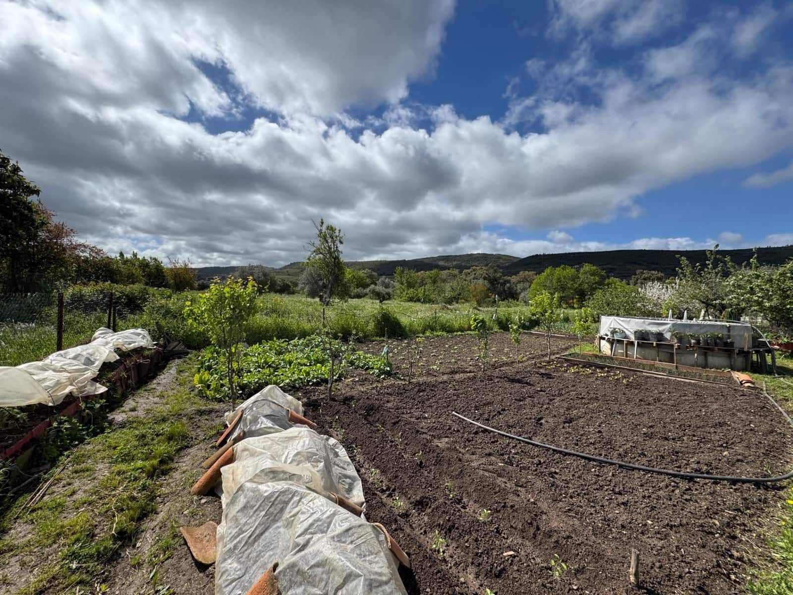 Finca/Casa Rural de 3 habitaciones en Valencia de Alcántara en venta con garaje - 90.000 € (Ref: 9201897)