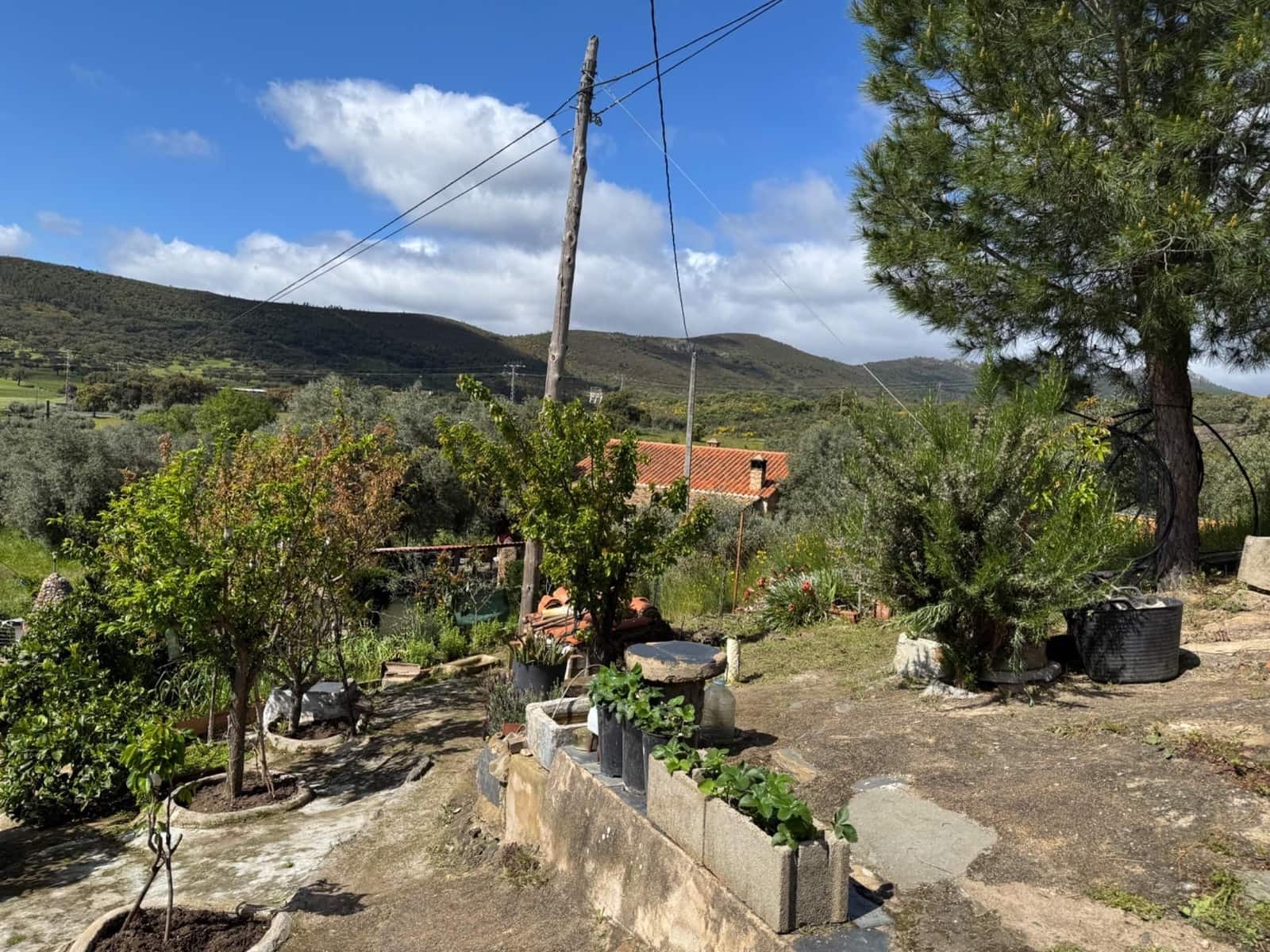 Finca/Casa Rural de 3 habitaciones en Valencia de Alcántara en venta con garaje - 90.000 € (Ref: 9201897)