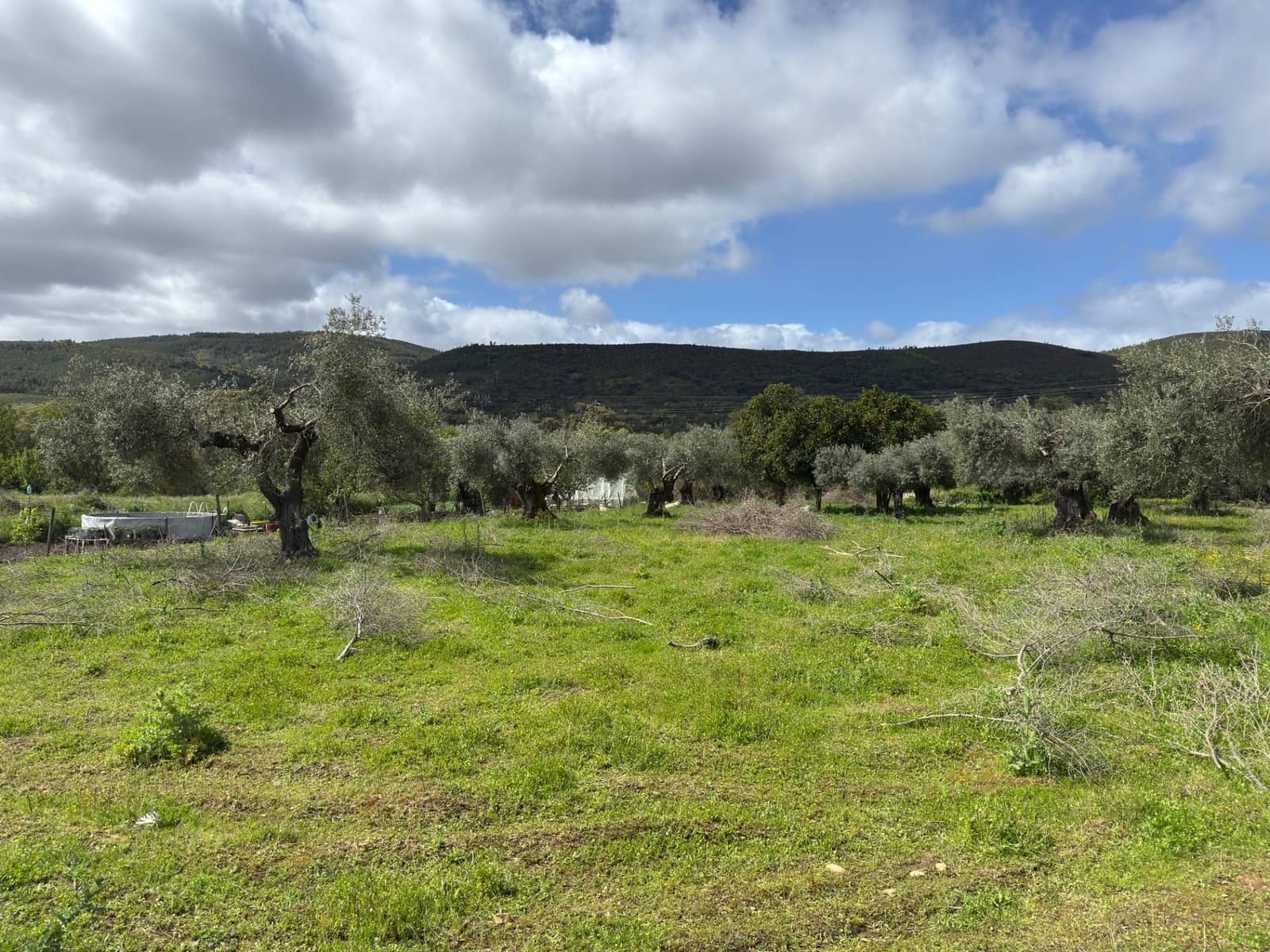 Finca/Casa Rural de 3 habitaciones en Valencia de Alcántara en venta con garaje - 90.000 € (Ref: 9201897)