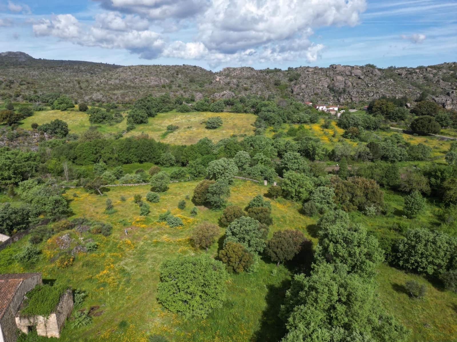 Finca/Country House for sale in Valencia de Alcantara with garage - € 85,000 (Ref: 9201898)