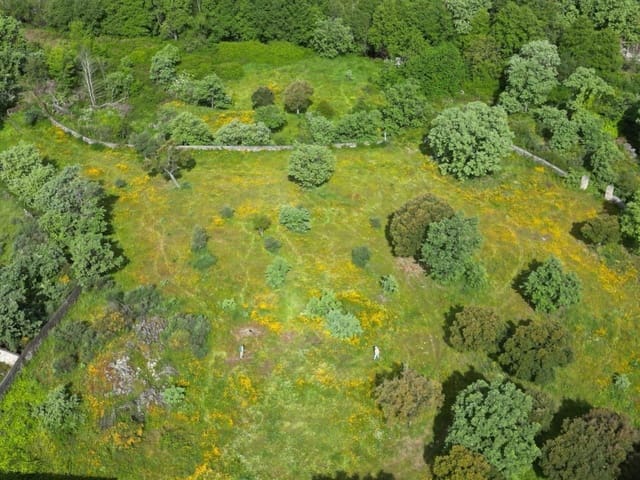 Finca/Hus på landet till salu i Valencia de Alcántara med garage - 85 000 € (Ref: 9201898)