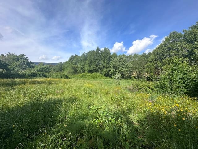 Finca/Hus på landet till salu i Valencia de Alcántara med garage - 85 000 € (Ref: 9201898)