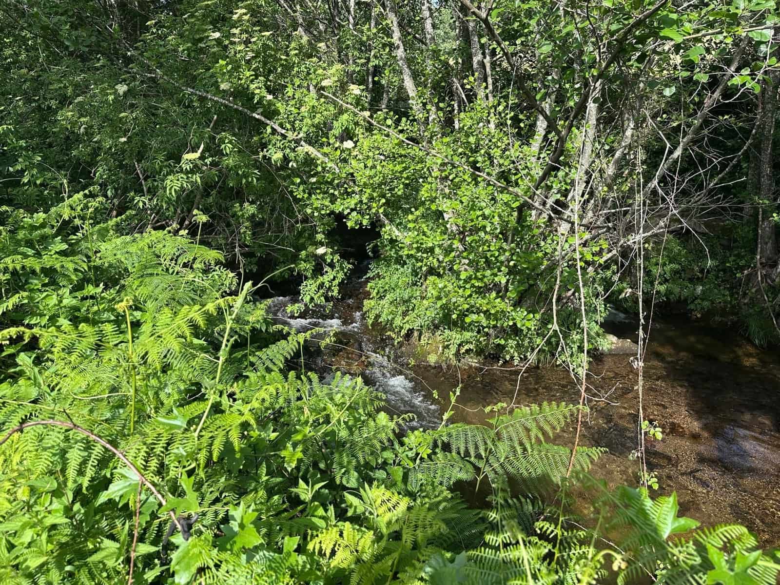 Finca/Country House for sale in Valencia de Alcantara with garage - € 85,000 (Ref: 9201898)