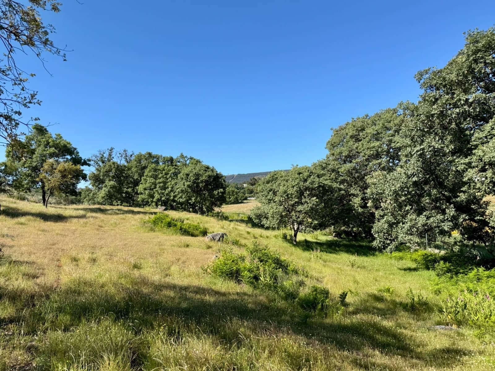 5 sypialnia Finka/Dom wiejski na sprzedaż w Valencia de Alcantara z basenem garażem - 460 000 € (Ref: 9201899)