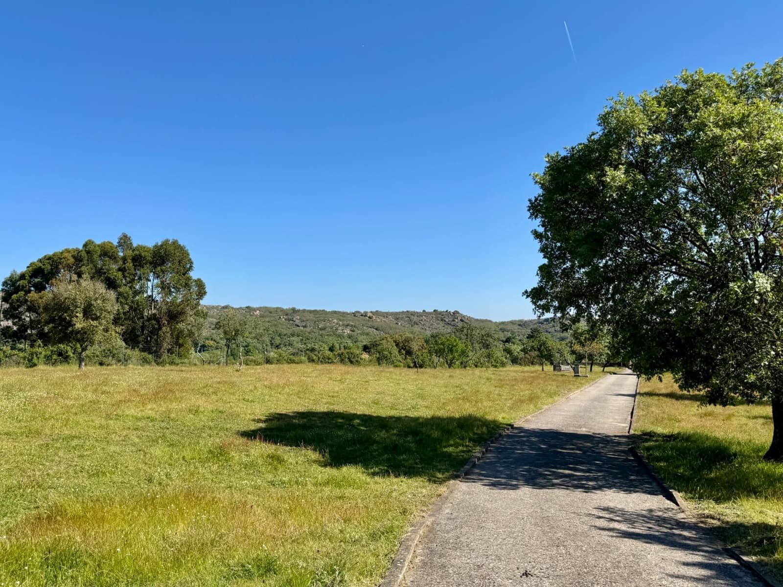 5 sypialnia Finka/Dom wiejski na sprzedaż w Valencia de Alcantara z basenem garażem - 460 000 € (Ref: 9201899)