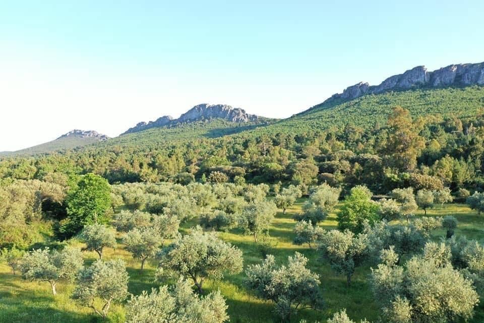 Finca/Country House for sale in Valencia de Alcantara with garage - € 279,000 (Ref: 9201901)