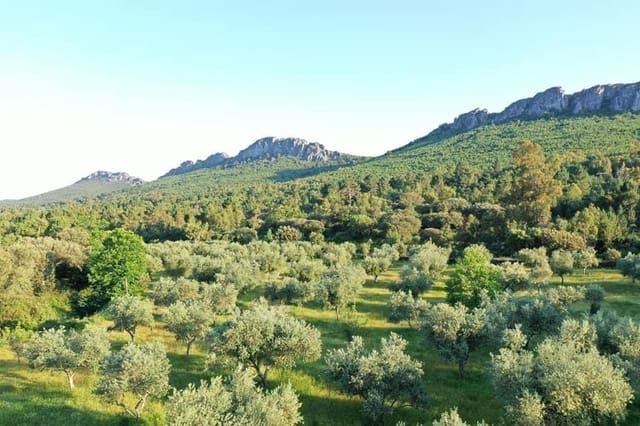 Finca/Hus på landet till salu i Valencia de Alcántara med garage - 279 000 € (Ref: 9201901)