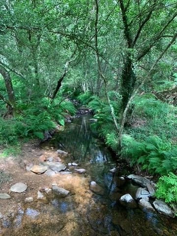 Undeveloped Land for sale in Valencia de Alcántara - € 80,000 (Ref: 9201905)