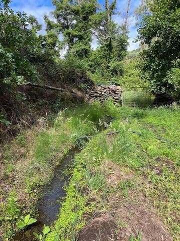 Undeveloped Land for sale in Valencia de Alcántara - € 80,000 (Ref: 9201905)