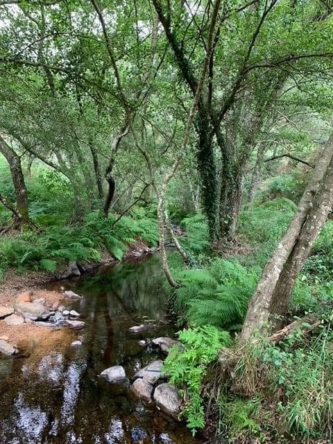 Grunde uden byggetilladelser til salg i Valencia de Alcantara - € 80.000 (Ref: 9201905)