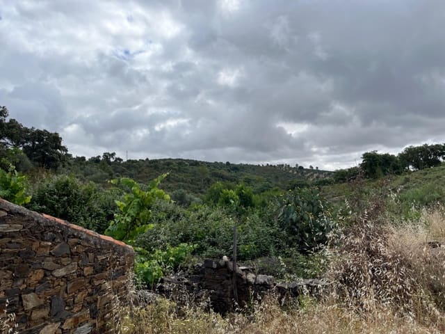 Undeveloped Land for sale in Valencia de Alcántara - € 80,000 (Ref: 9201905)