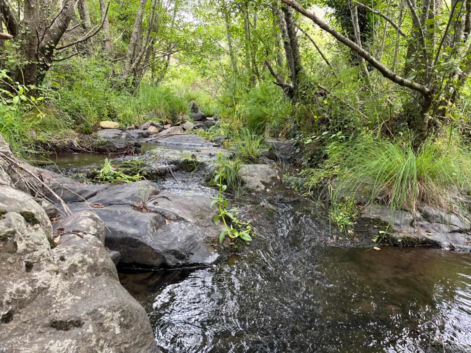 Grunde uden byggetilladelser til salg i Valencia de Alcantara - € 80.000 (Ref: 9201905)