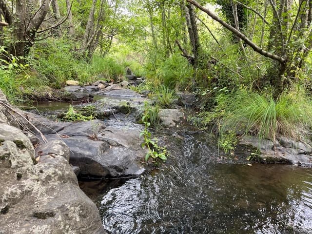 Undeveloped Land for sale in Valencia de Alcántara - € 80,000 (Ref: 9201905)