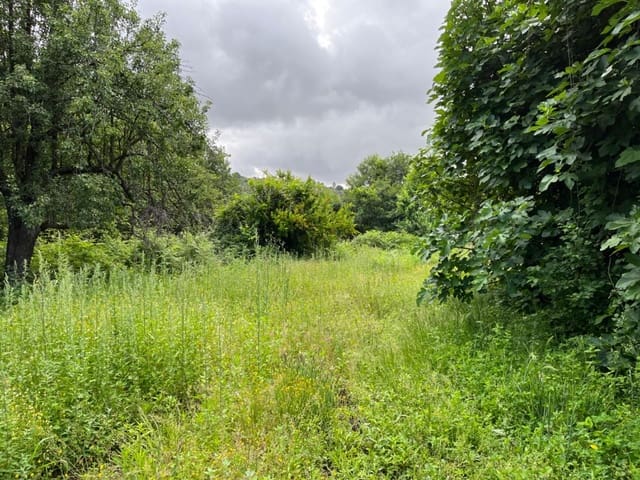 Undeveloped Land for sale in Valencia de Alcántara - € 80,000 (Ref: 9201905)