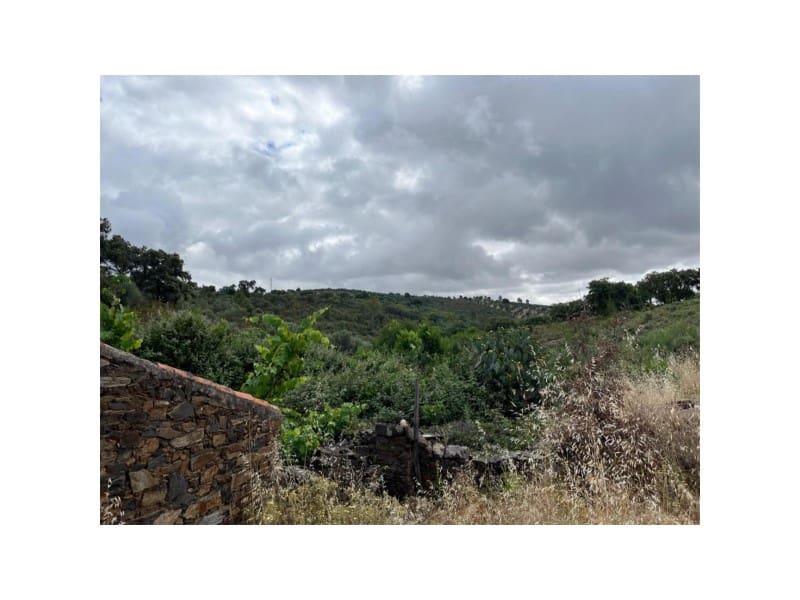 Undeveloped Land for sale in Valencia de Alcantara - € 80,000 (Ref: 9201905)