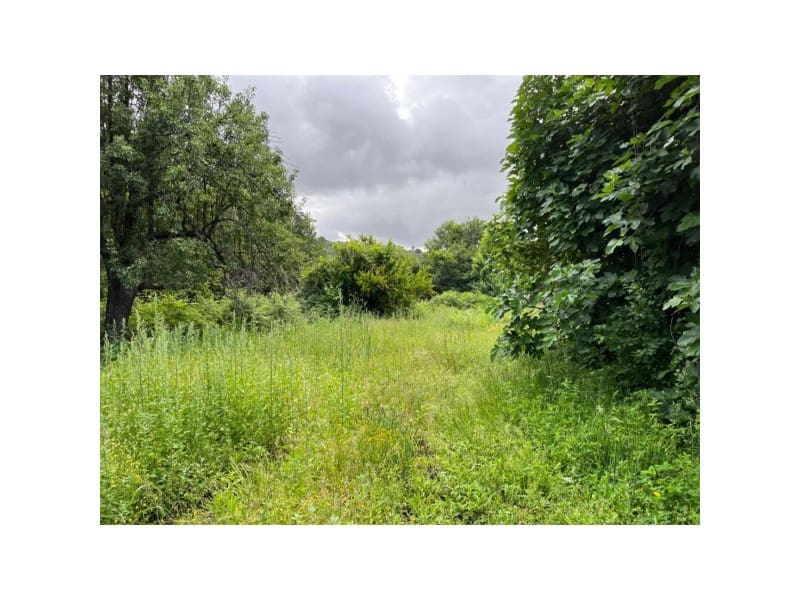 Undeveloped Land for sale in Valencia de Alcantara - € 80,000 (Ref: 9201905)