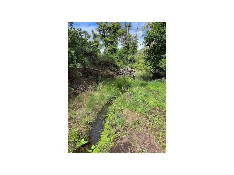 Undeveloped Land for sale in Valencia de Alcantara - € 80,000 (Ref: 9201905)