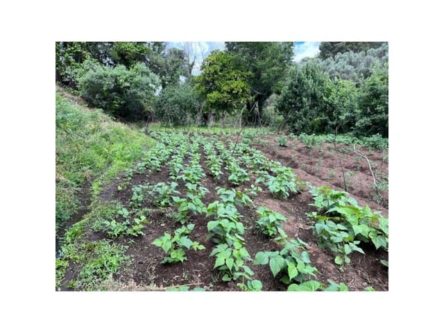 Terreno/Finca Rústica en Valencia de Alcántara en venta - 80.000 € (Ref: 9201905)