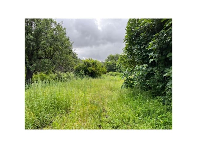 Terreno/Finca Rústica en Valencia de Alcántara en venta - 80.000 € (Ref: 9201905)