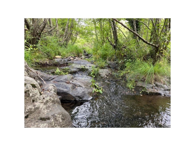 Undeveloped Land for sale in Valencia de Alcantara - € 80,000 (Ref: 9201905)