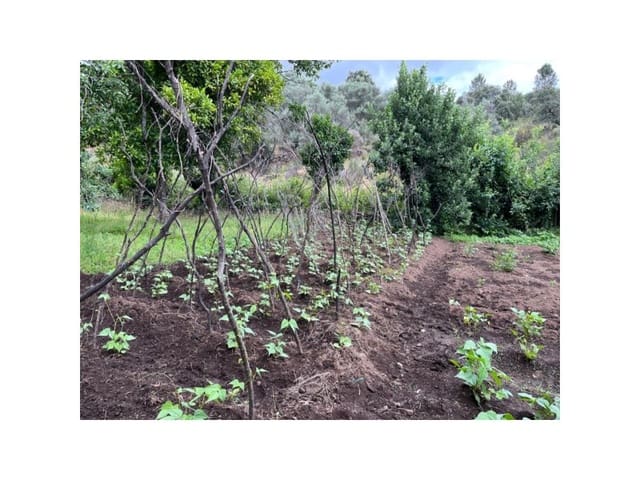 Terreno/Finca Rústica en Valencia de Alcántara en venta - 80.000 € (Ref: 9201905)