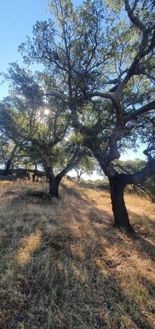 Undeveloped Land for sale in San Vicente de Alcántara - € 56,000 (Ref: 9201906)