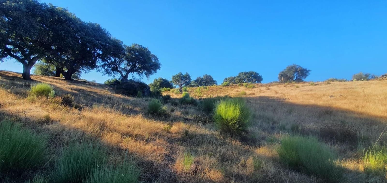 Grunde uden byggetilladelser til salg i San Vicente de Alcantara - € 56.000 (Ref: 9201906)